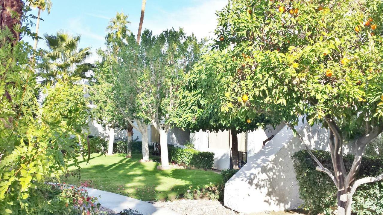 Palm Canyon Villas Palm Springs Bagian luar foto